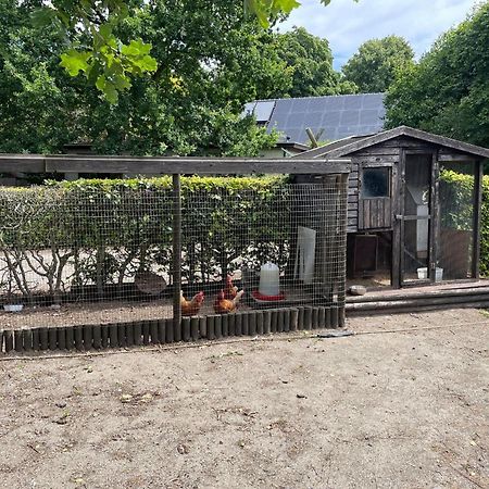 Вилла Completely Renovated Back Part Of A Farm Уден Экстерьер фото
